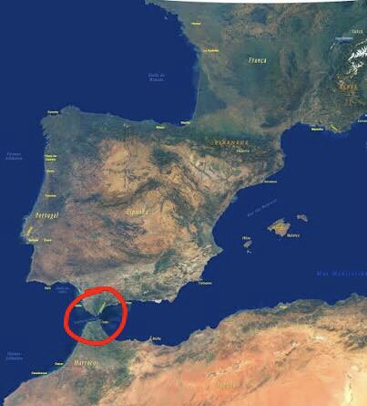 pedro ribeiro tweet media