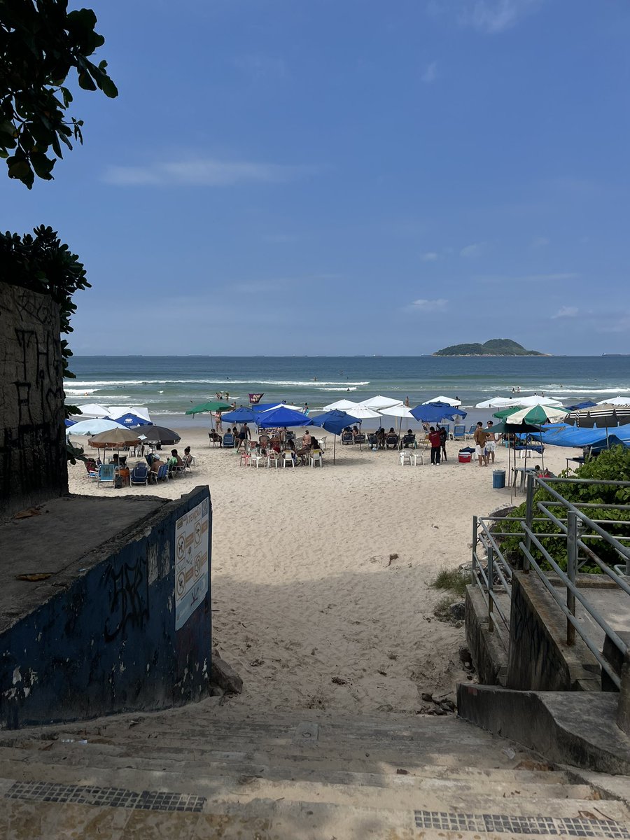 mauricio tweet media