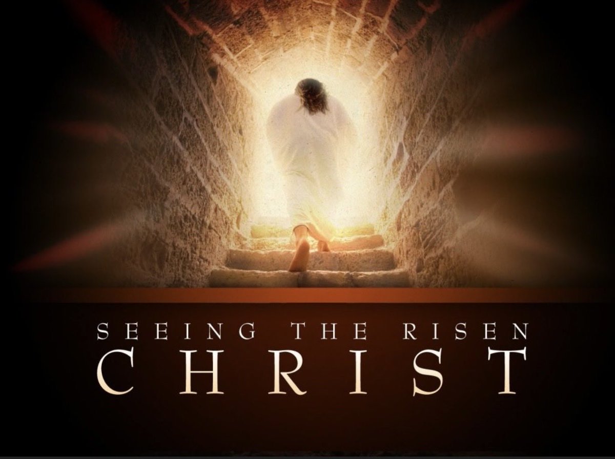 It's 🇺🇸 Tiff 🇺🇸 tweet media