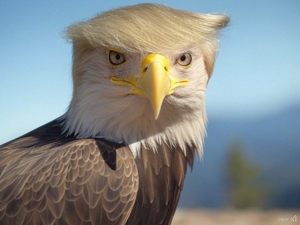 Nick, 60 tweet media