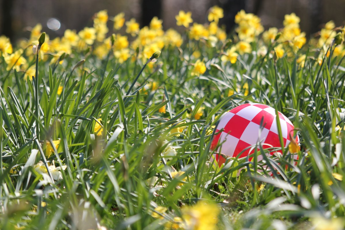 Amiga Shop tweet media