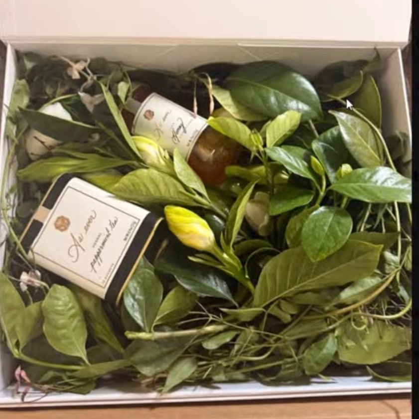 MeghansMole©️ tweet media