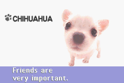 Memory Card tweet media