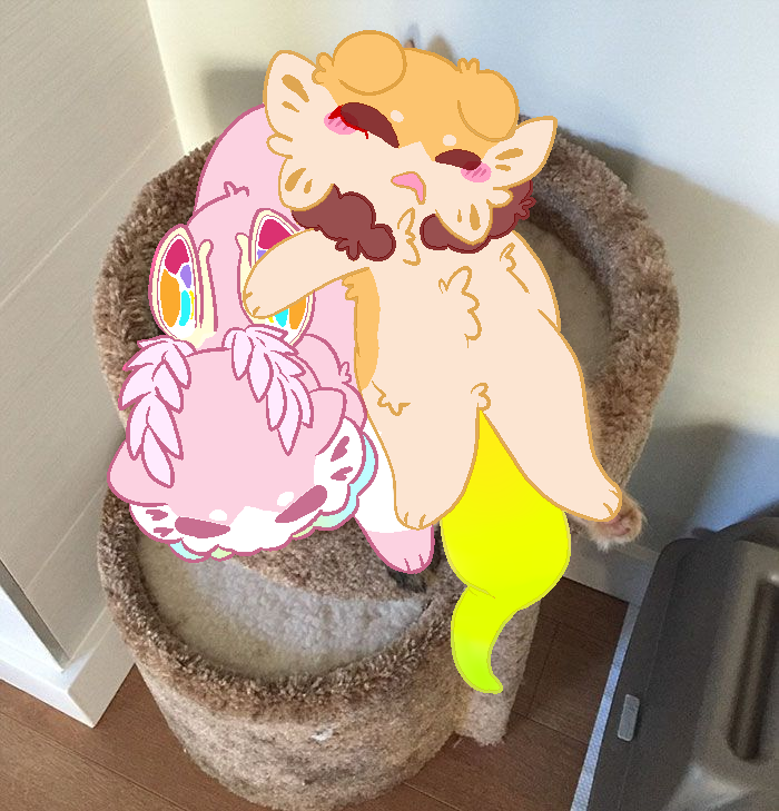 Fig Stew tweet media