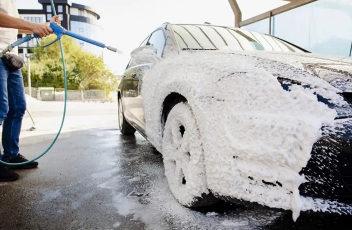 ZAM Haber tweet media