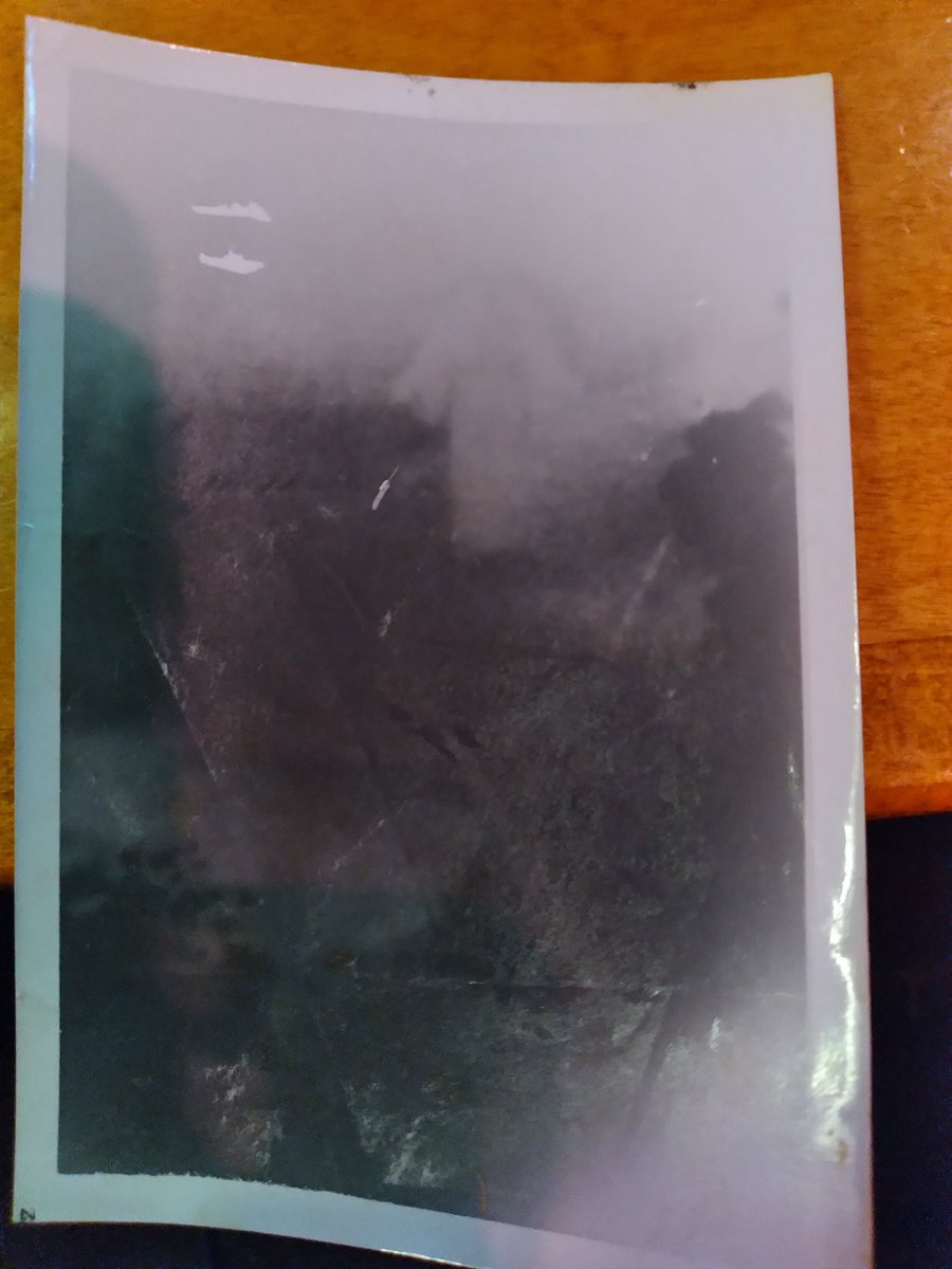 MLP HB fandom tweet media