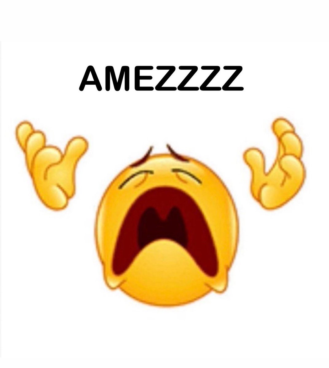 satchi 💛 tweet media