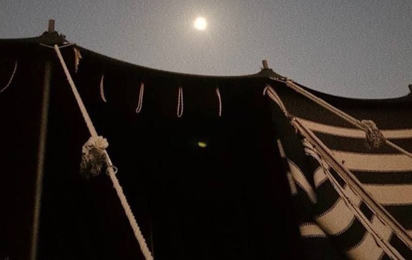 ود الشمري 🕊🇸🇦 tweet media