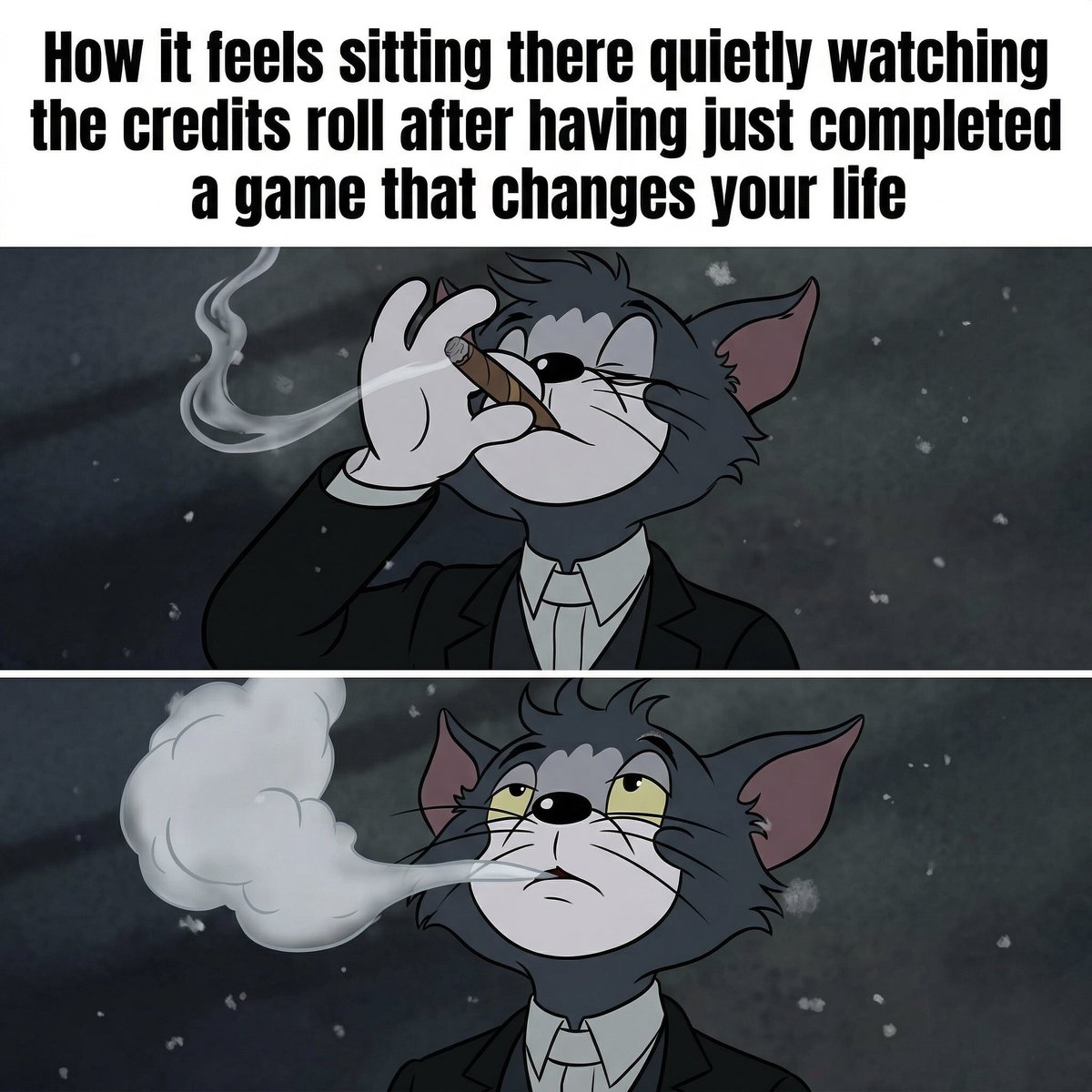 Rino🚀 tweet media