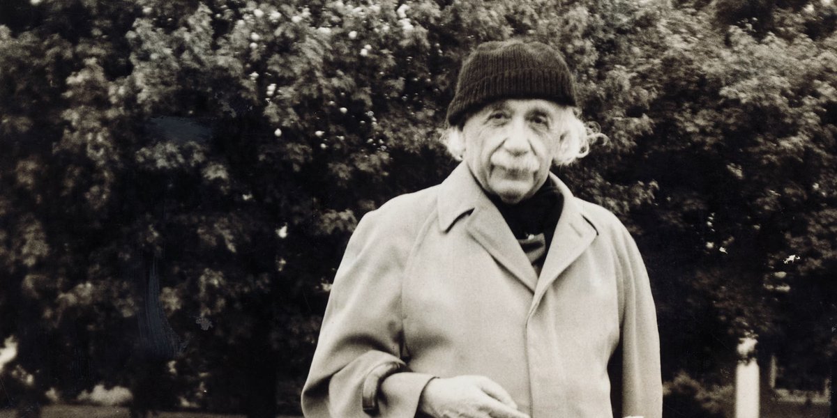 The Knowledge Archivist tweet media