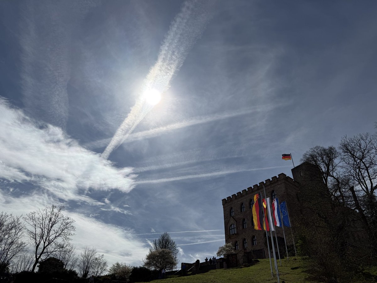 FrauHodl tweet media