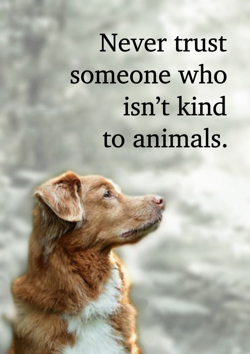 Samantha Smith tweet media