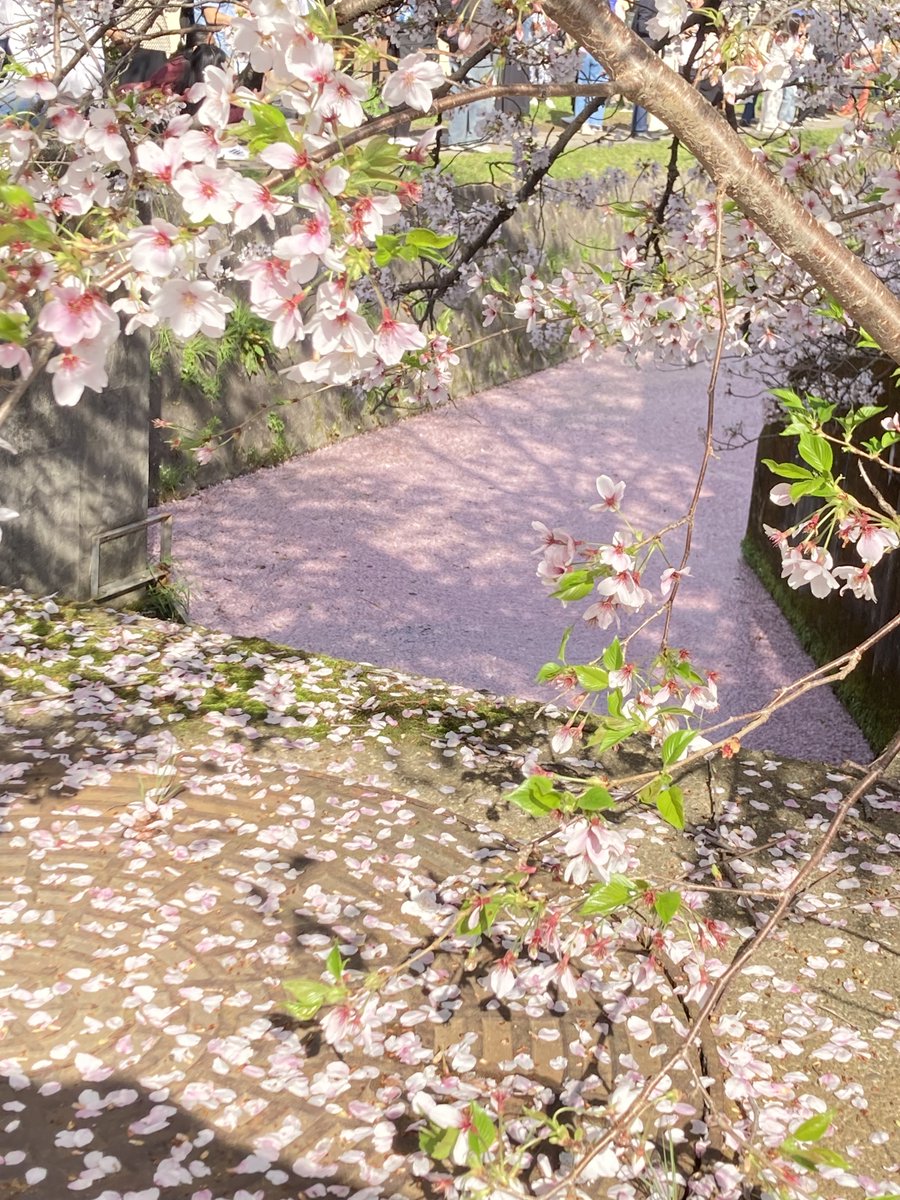 辻村みゆき|売れるチラシは導線で決まる|パワポで作るチラシ tweet media