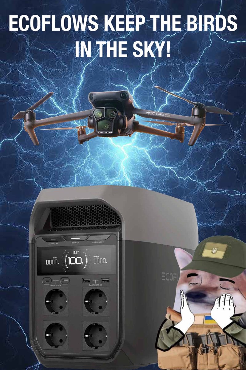 Feisty Robin Rembrandt fella tweet media