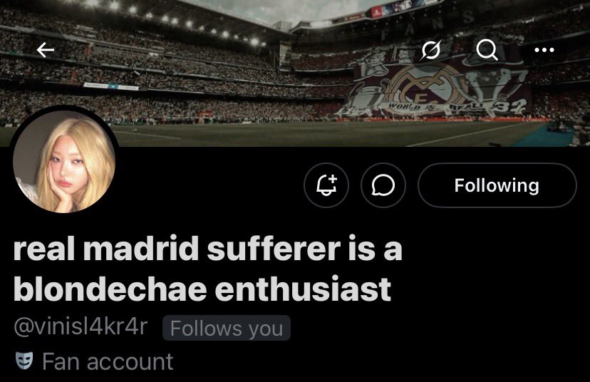 cat 💫 tweet media