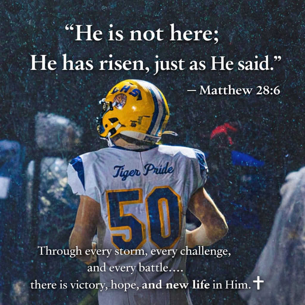 Brock Hall tweet media