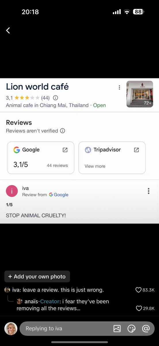 mina_tadic's tweet photo. @domdyer70 Its the Lion World Café in Chiang Mai in Thailand. Leave them a review on Google. This must be stopped. https://t.co/K58nqQ76UL