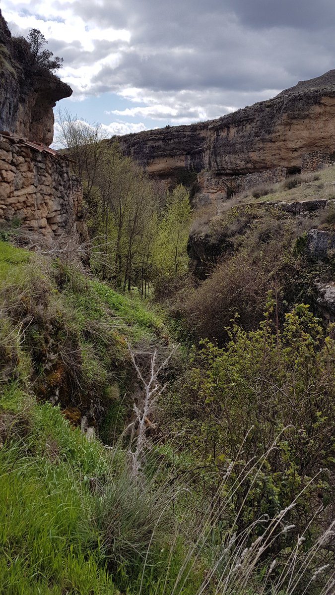 Herudeldin's tweet image. Ravine.

#landscapephotography 
#Landscapes 
#landscape 
#NaturePhotography 
#nature
#photography