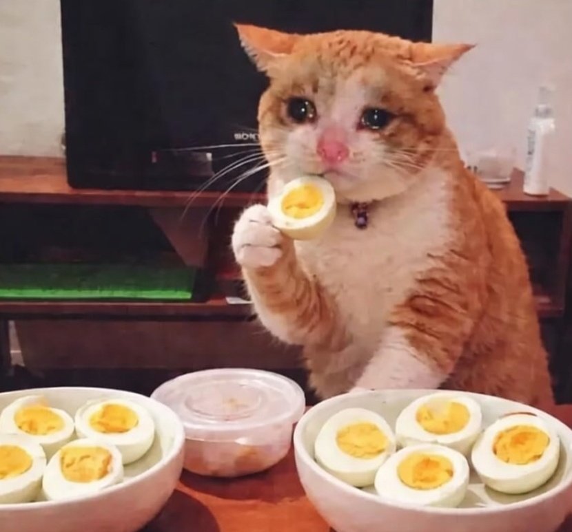 Eudaisio Silva tweet media