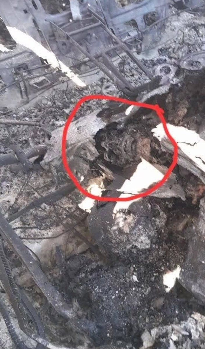 Sheij Abdala Cerrilla 🇦🇷 tweet media