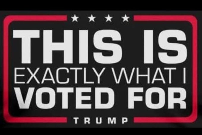 tommy mc tweet media