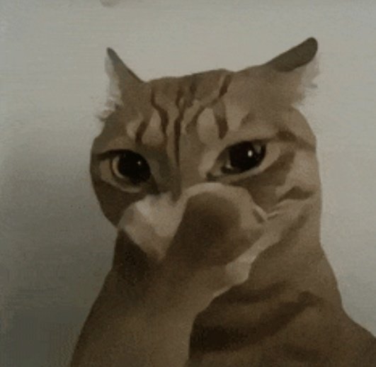 芝麻糊 tweet media