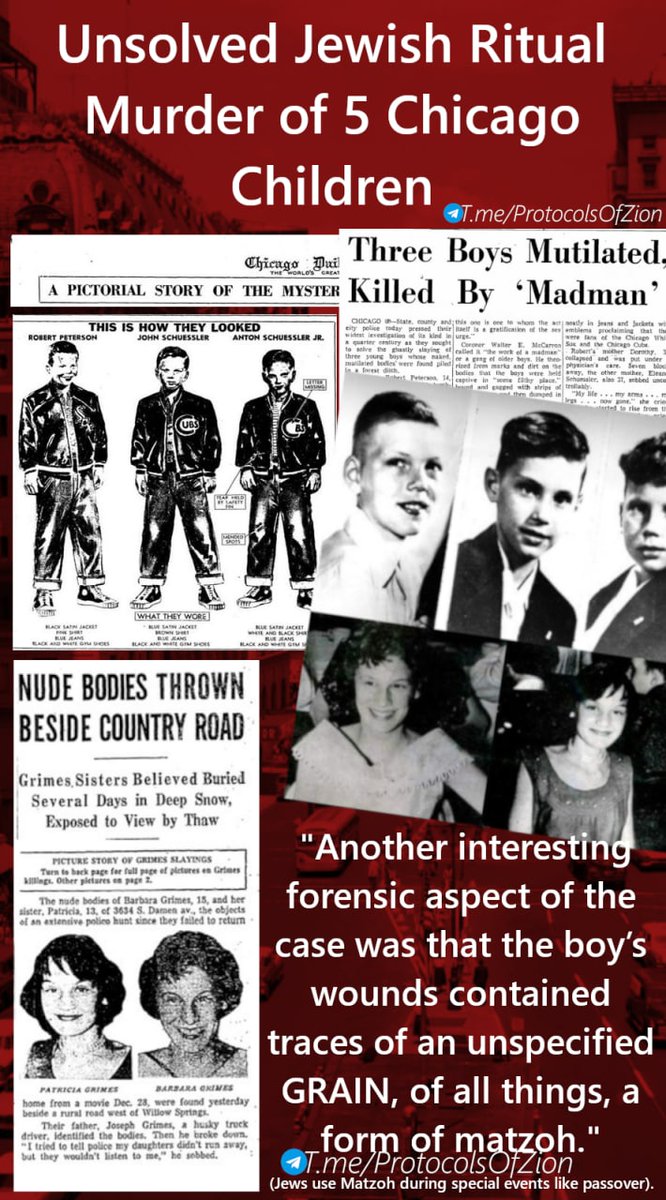 THORGAL 78 tweet media