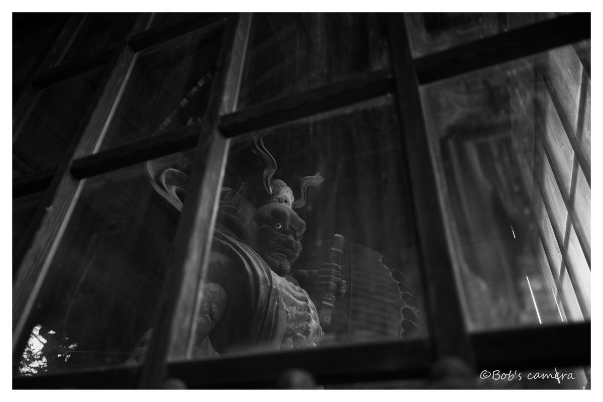 よボブ tweet media