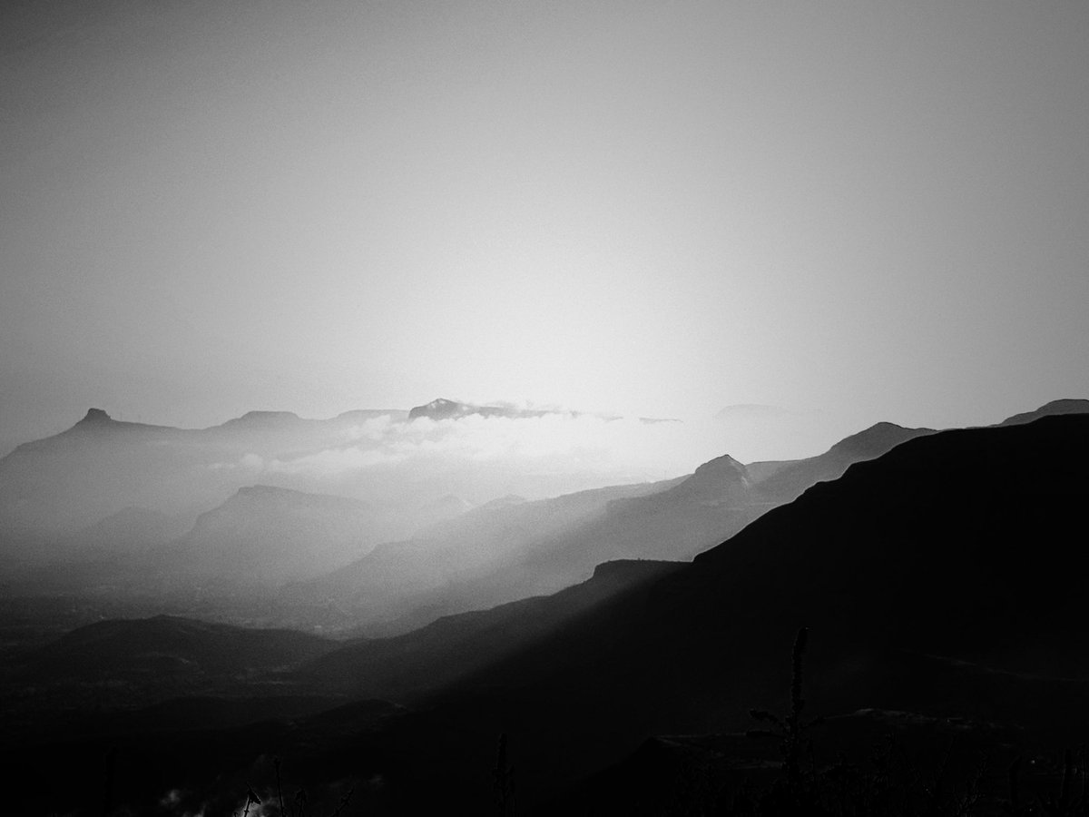 Aastha Kapoor tweet media