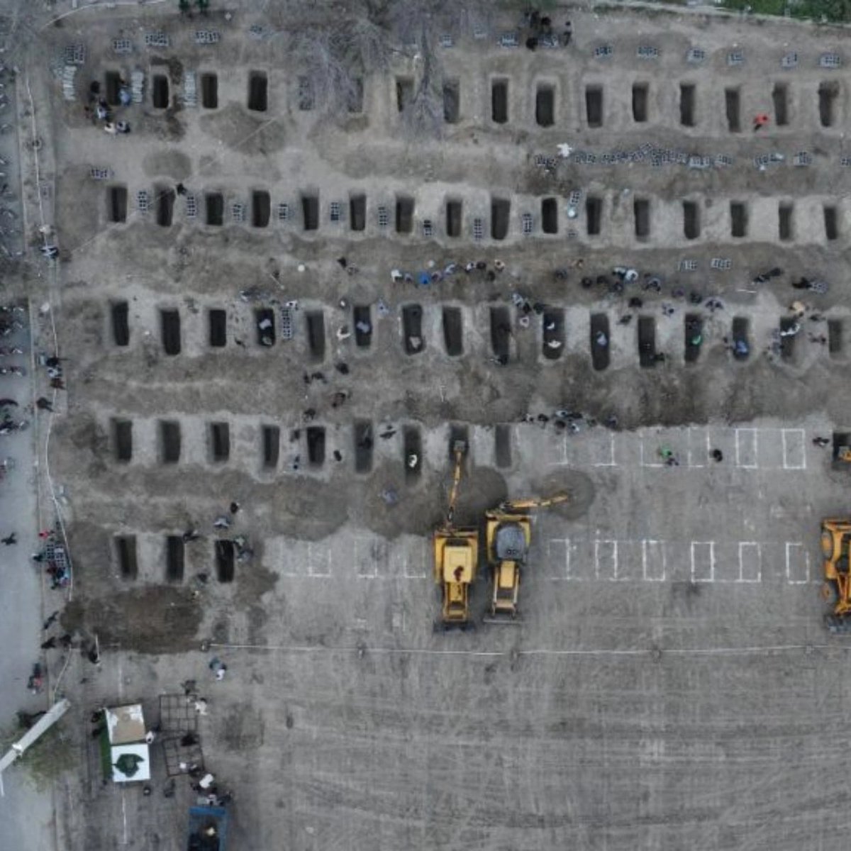 Vinicio 🍉 tweet media