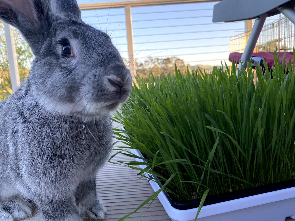 Tori Tishman tweet media