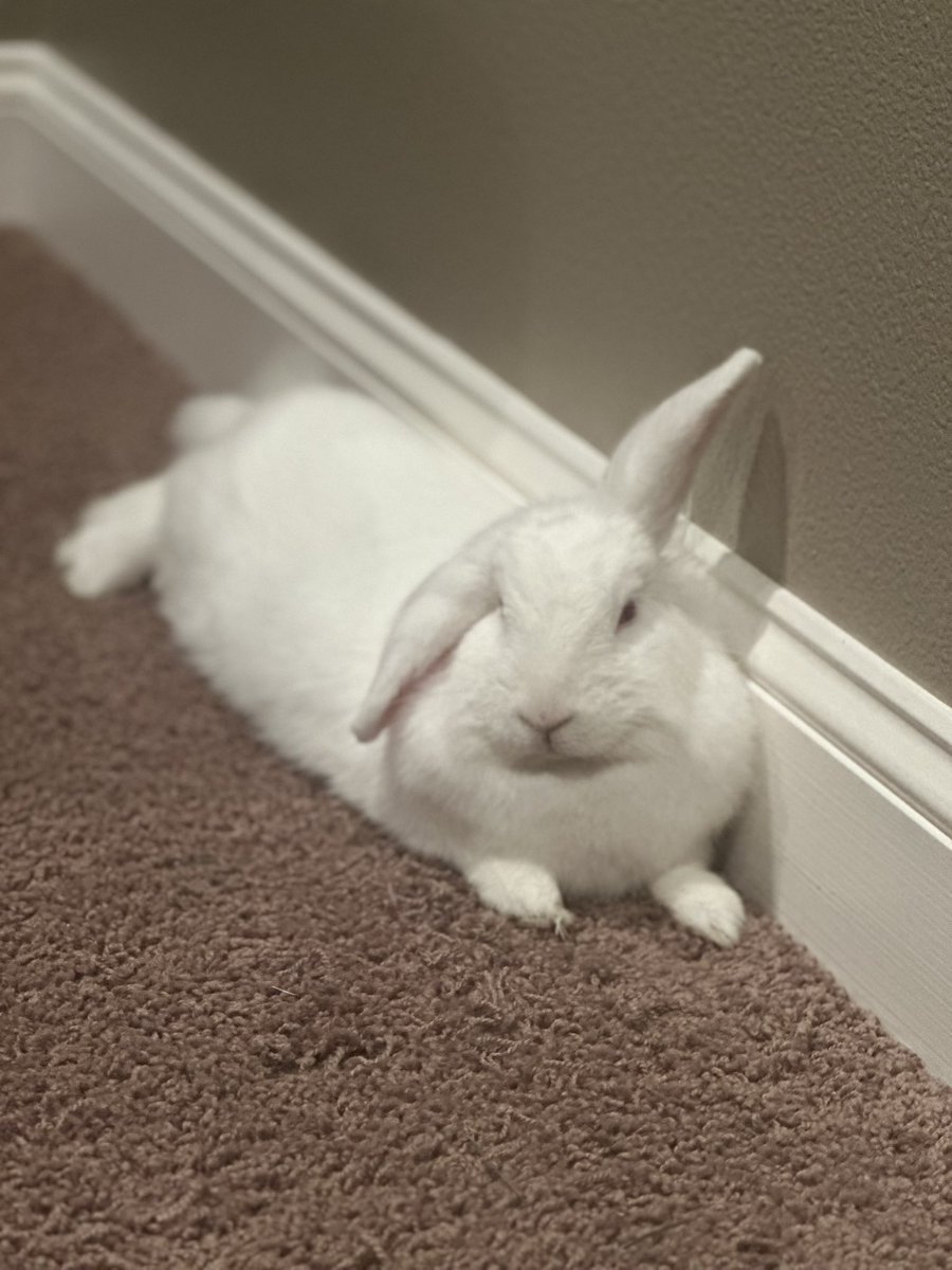 Tori Tishman tweet media