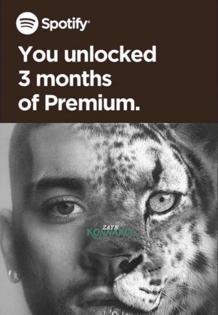 ZAYN MALIK PROMO 𓊍 tweet media