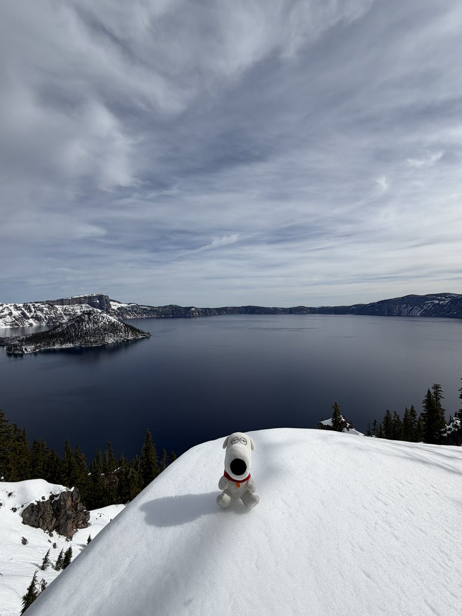 nyanchechy tweet media