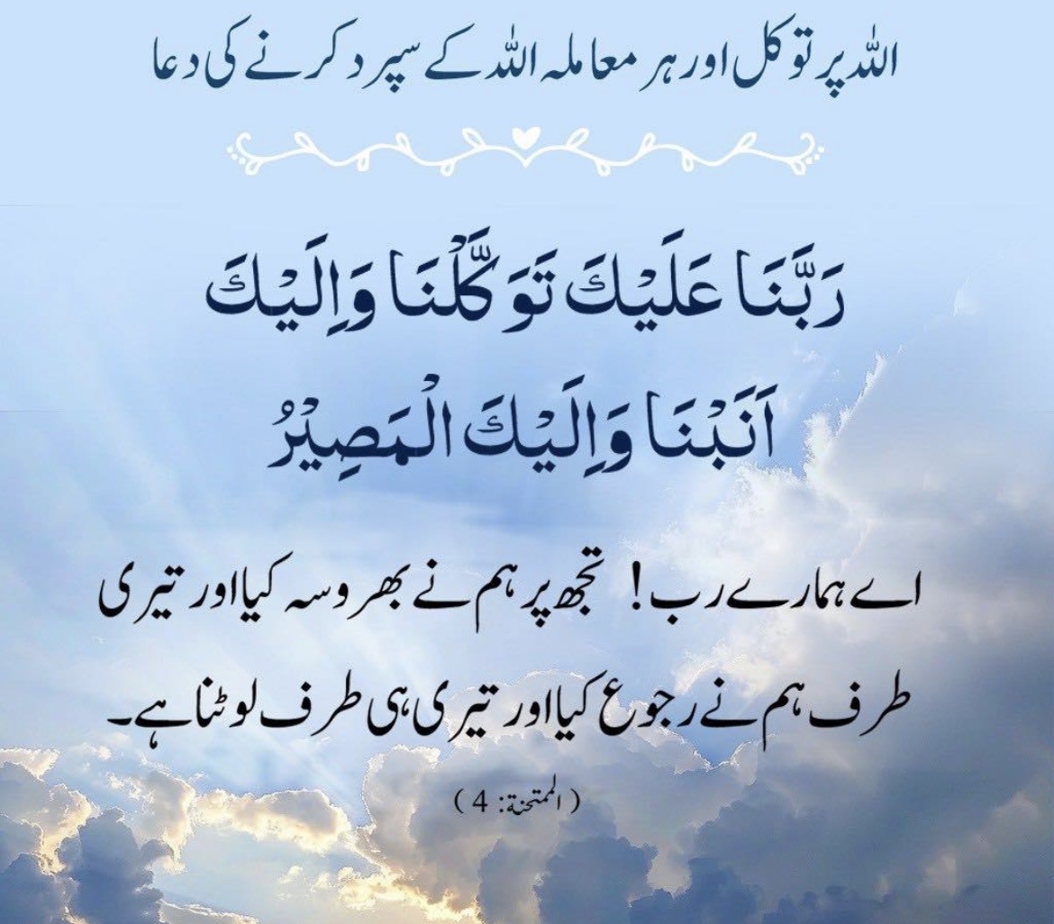 Sana Shah 🌸 tweet media