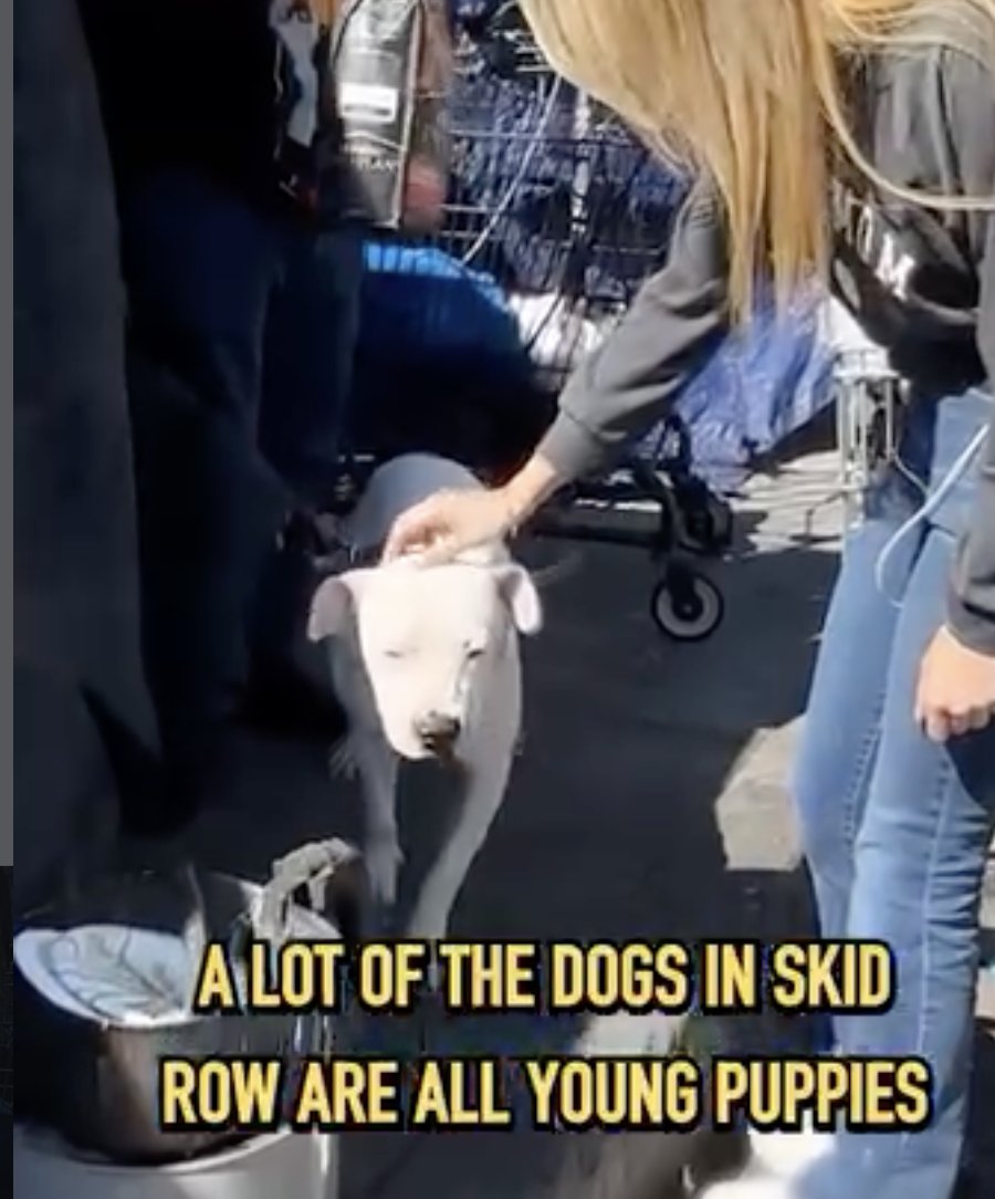 JoeyTuccio tweet media