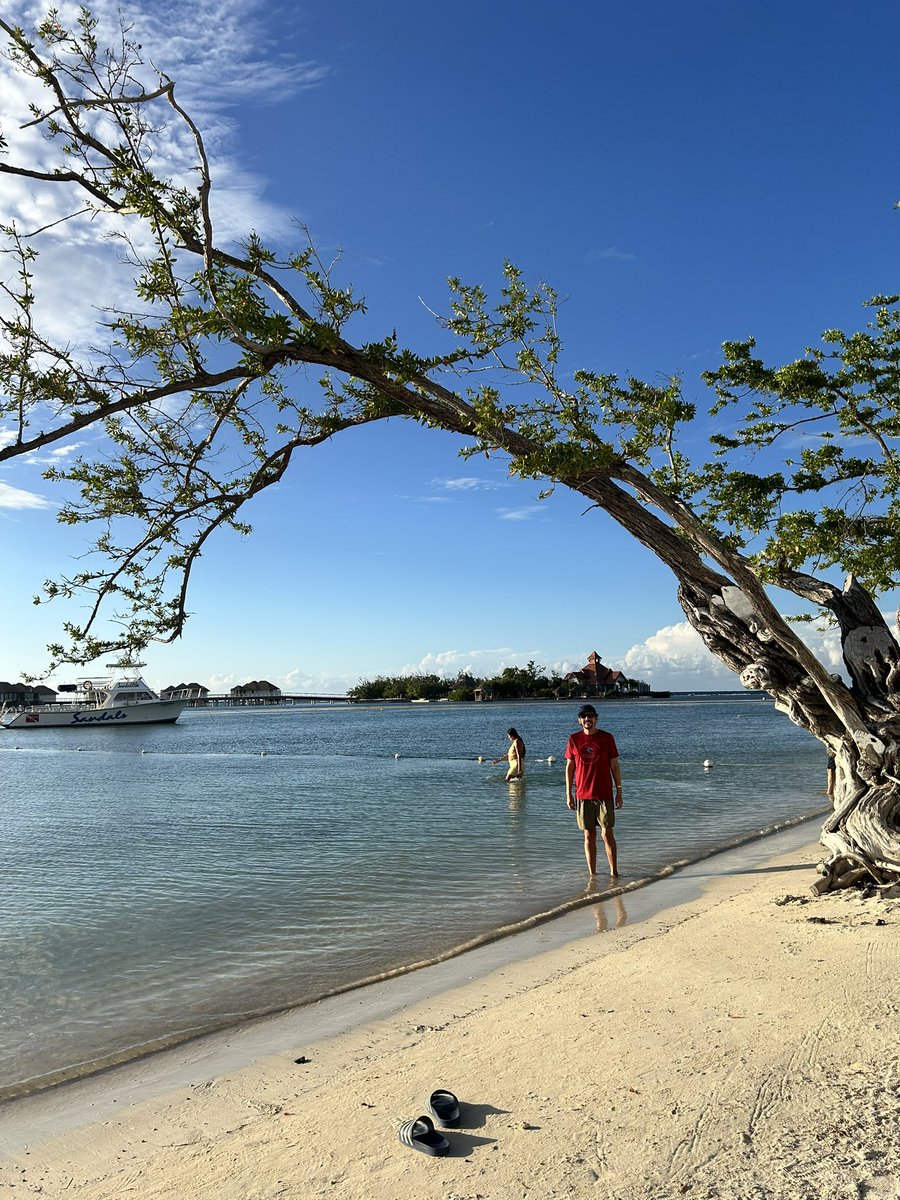 ACB2506's tweet photo. 🇯🇲 ☀️ 🐼🤓 https://t.co/yHLgfnZpcn