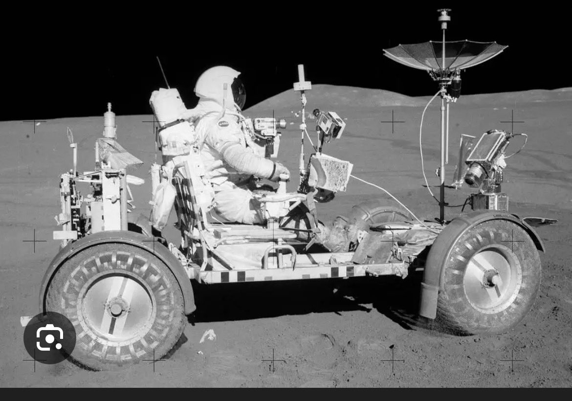 Natalie Lewis tweet media