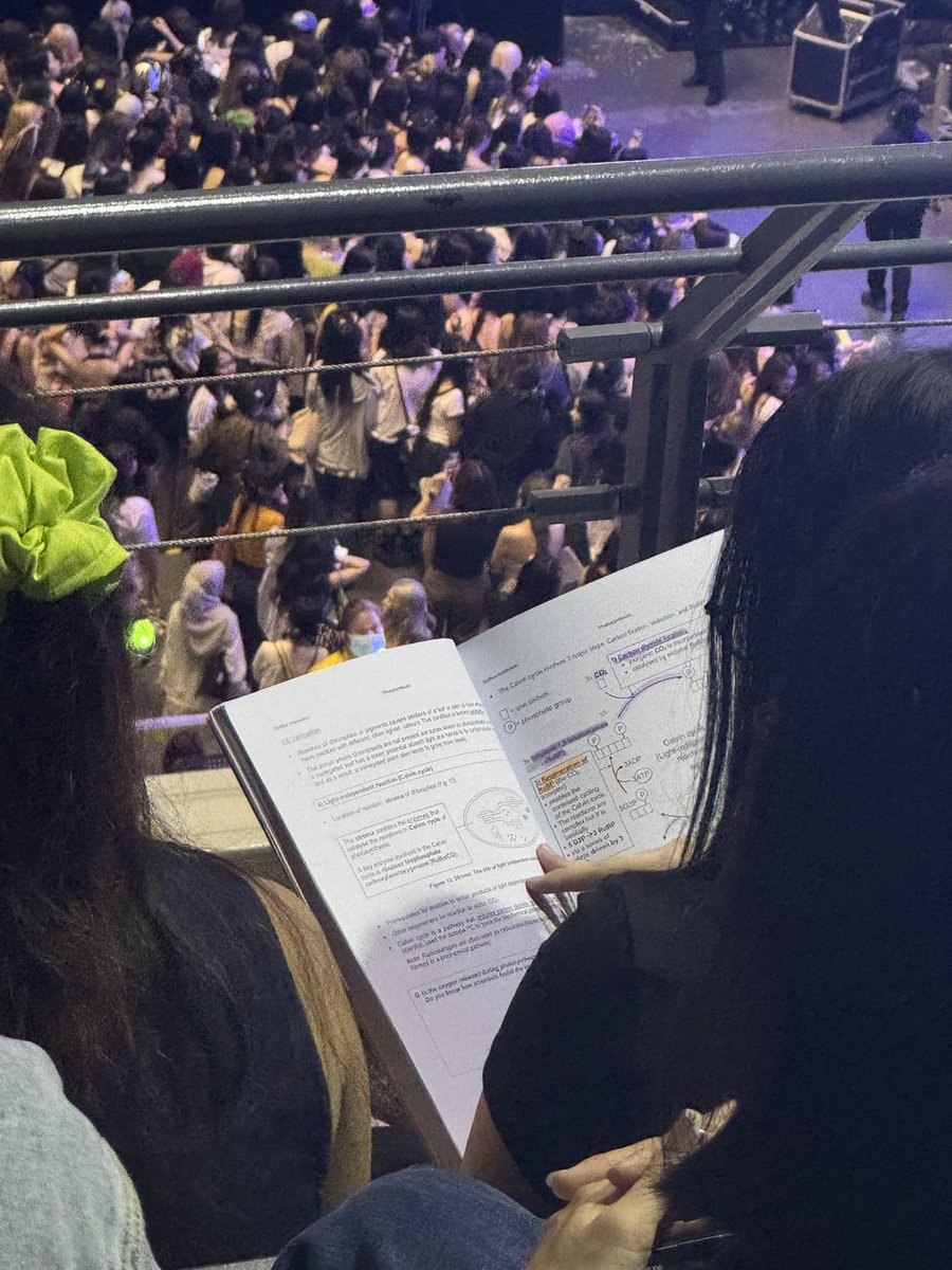 nat 🐥 tweet media