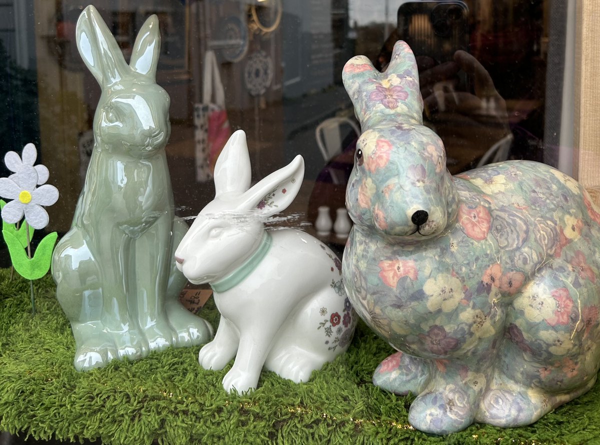 Sara Turle 💙 tweet media