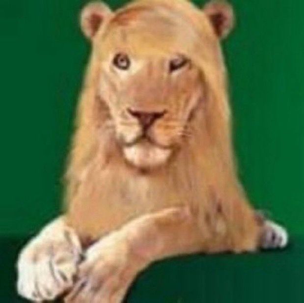 Luma 🌙 #JF #6OND9 tweet media