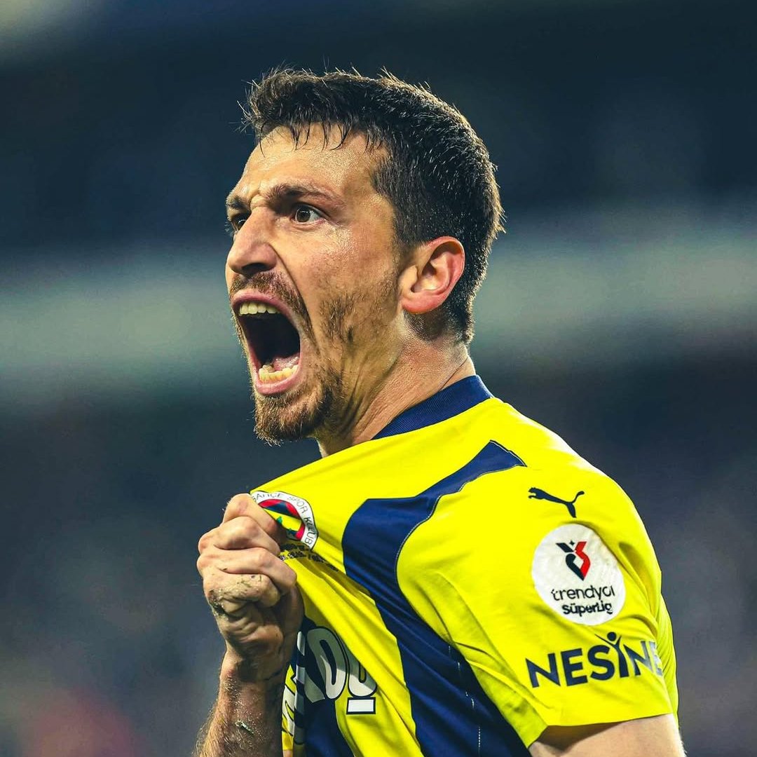 Fon Analiz & Halka Arz & BES tweet media