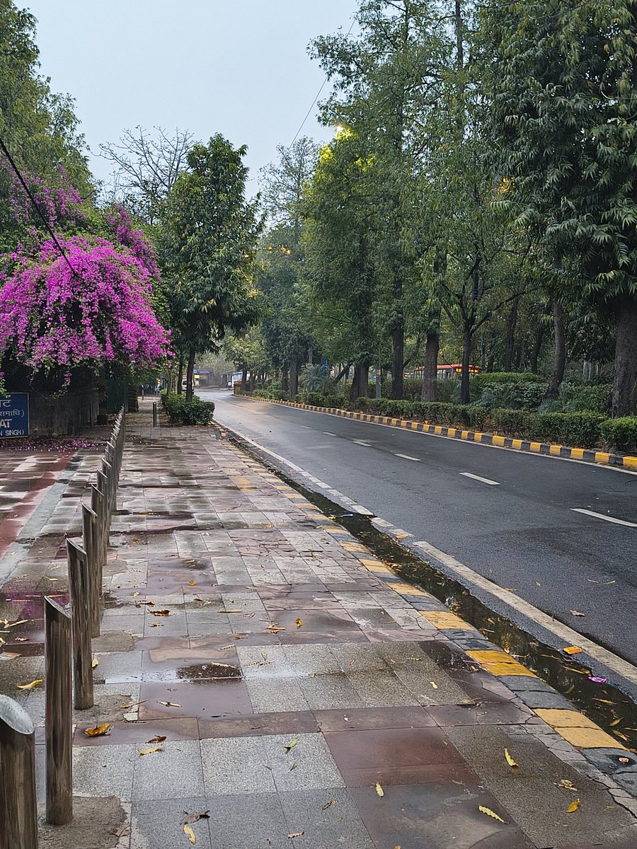 Good Intentions only tweet media