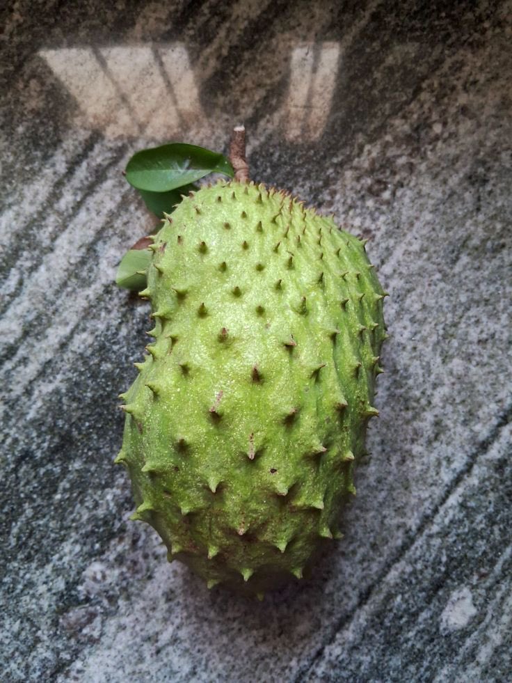 𝘔𝘶𝘺𝘪𝘸𝘢 tweet media