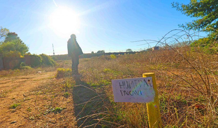 PIENSAPRENSA 361 mil Seguidores tweet media