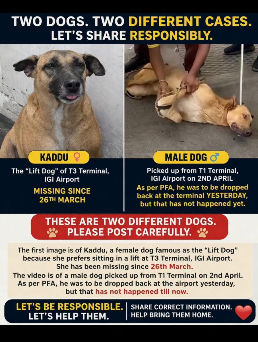 IndianFirst tweet media