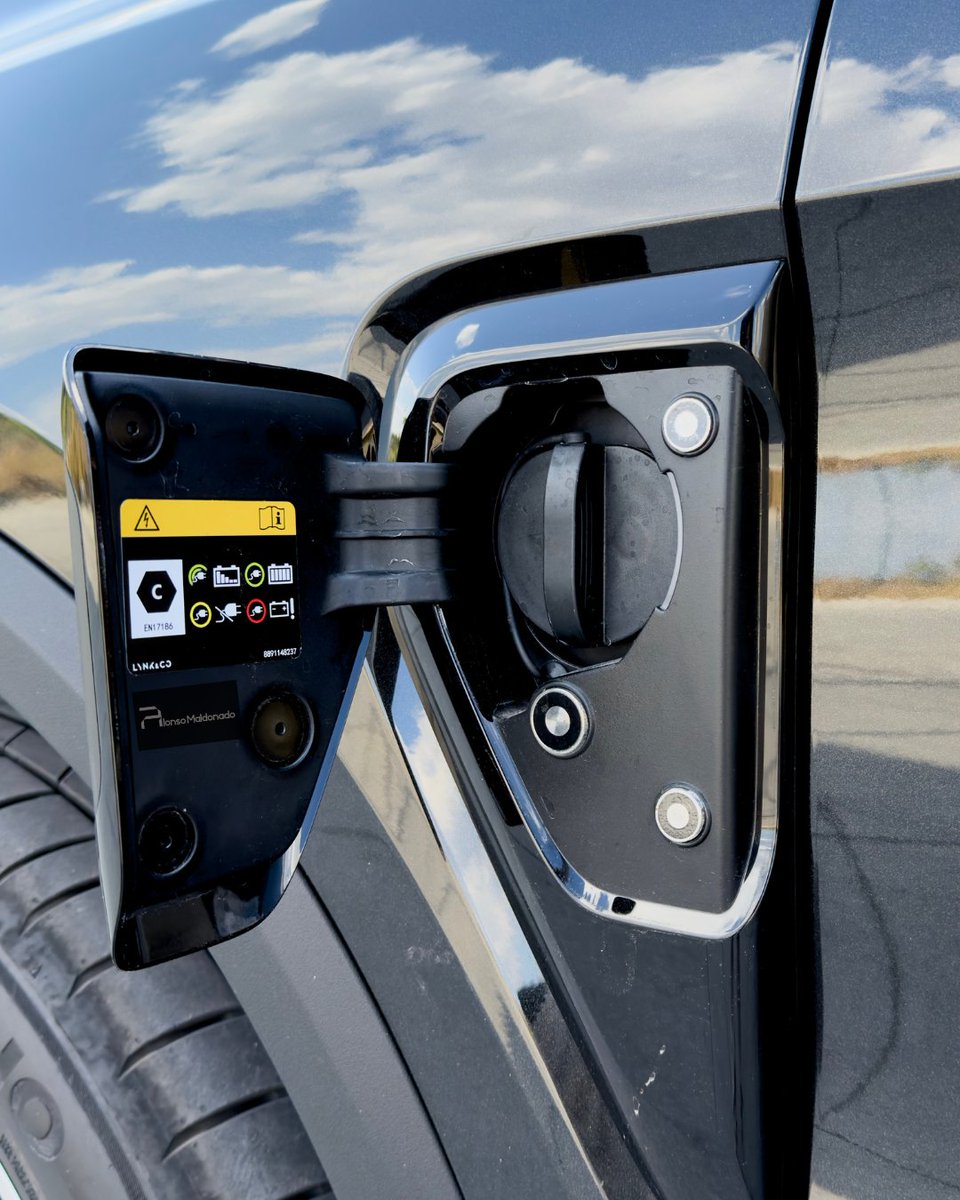 Alonso Maldonado tweet media