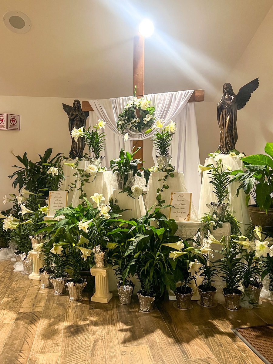 FL_Lindsey's tweet photo. I believe and profess all that the holy Catholic Church believes, teaches, and proclaims to be revealed by God.

Alleluia, Jesus Christ is Risen🤍✝️🇻🇦

#Home https://t.co/GcQA926oyD