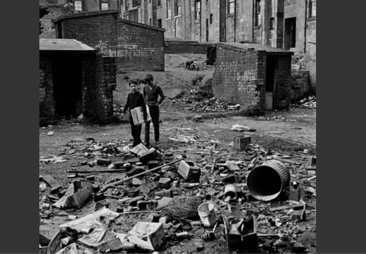 GreatScot🏴󠁧󠁢󠁳󠁣󠁴󠁿 tweet media