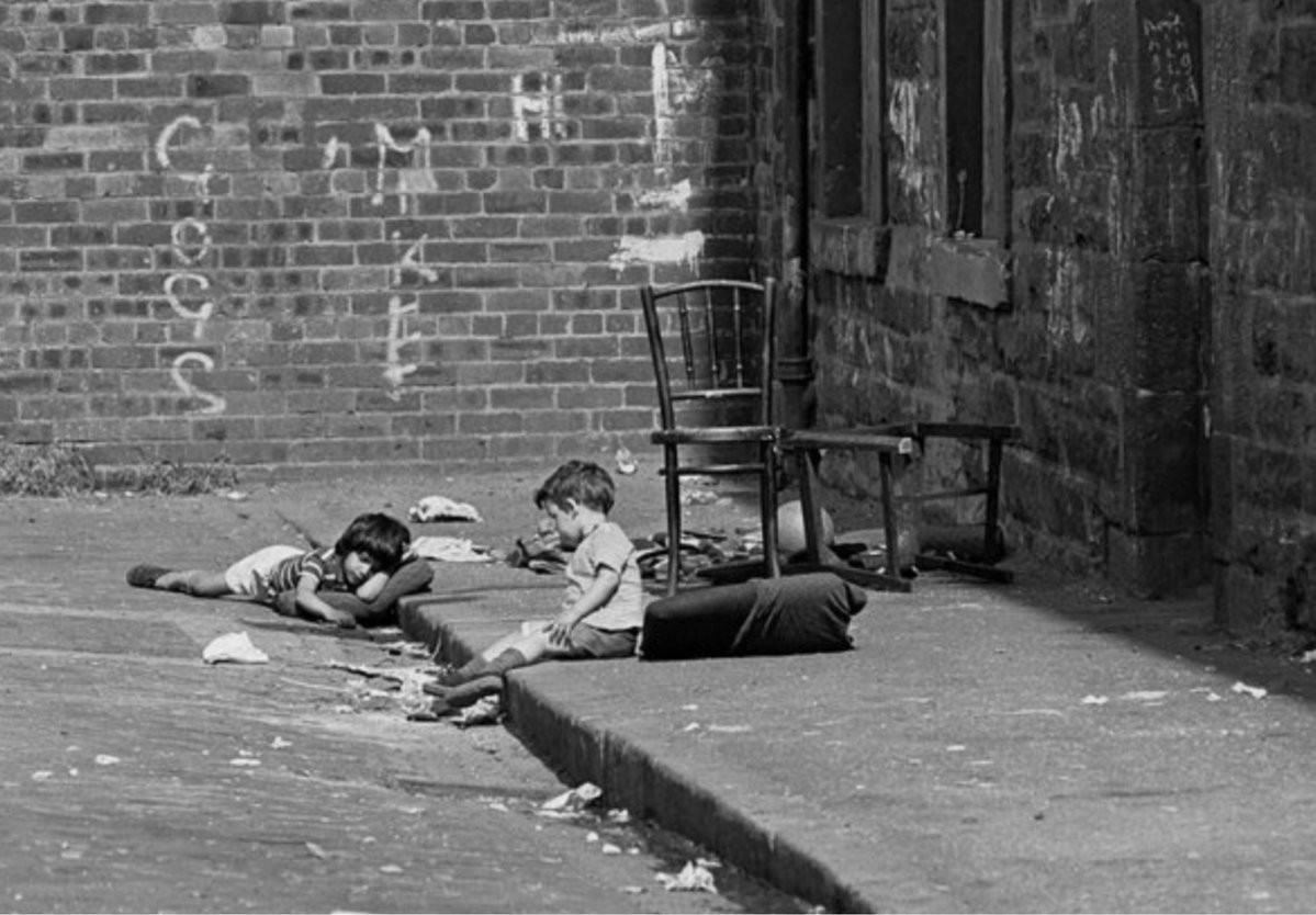 GreatScot🏴󠁧󠁢󠁳󠁣󠁴󠁿 tweet media